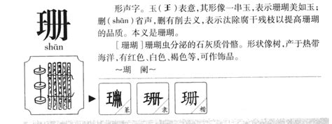 珊五行|珊字取名寓意